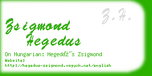 zsigmond hegedus business card